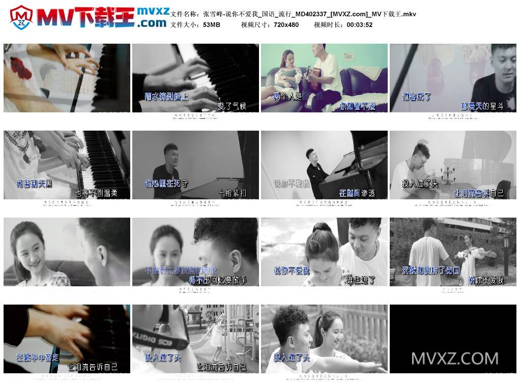 张雪峰-说你不爱我_国语_流行_MD402337